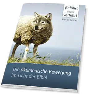 Cover von Geführt oder verführt
